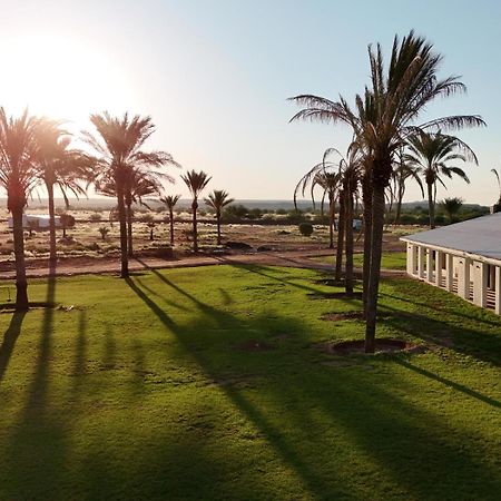 Flying Ostrich Guesthouse & Self-Catering Accommodation مارينتل المظهر الخارجي الصورة