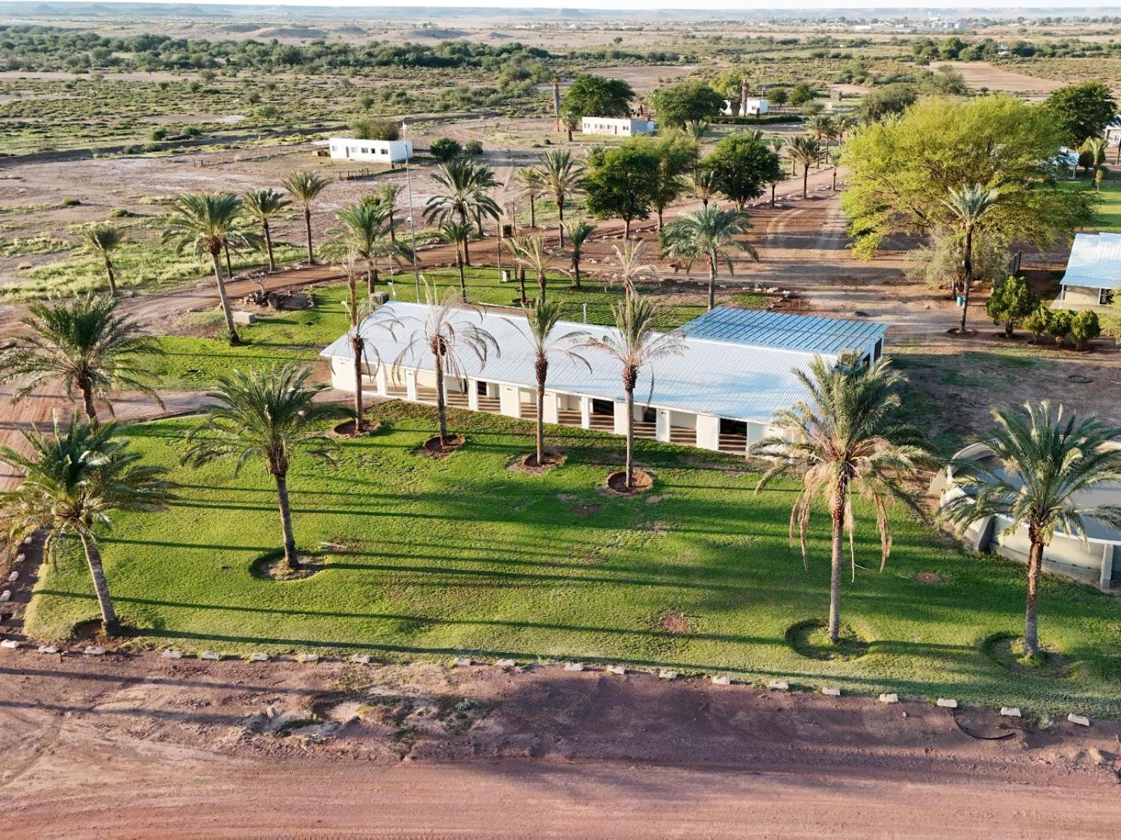 Flying Ostrich Guesthouse & Self-Catering Accommodation مارينتل المظهر الخارجي الصورة