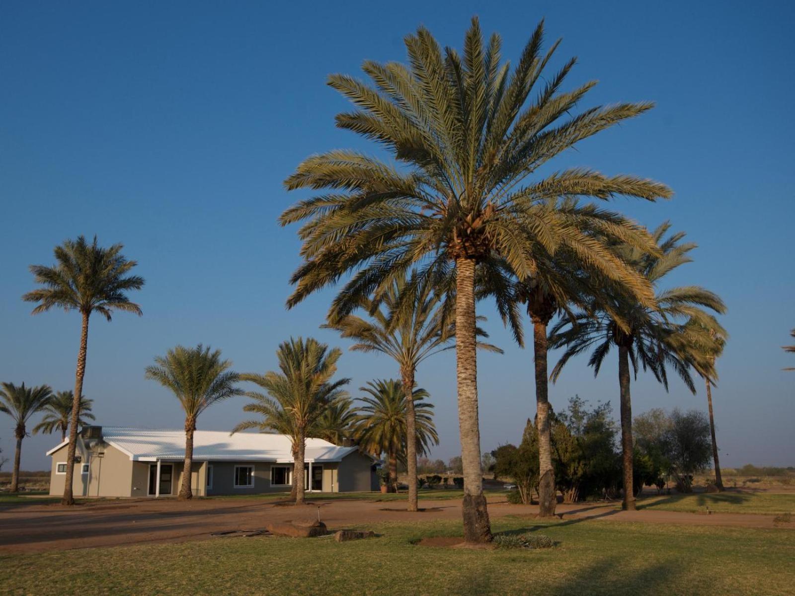 Flying Ostrich Guesthouse & Self-Catering Accommodation مارينتل المظهر الخارجي الصورة